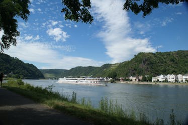 Rijnvallei-tour van een halve dag vanuit Frankfurt